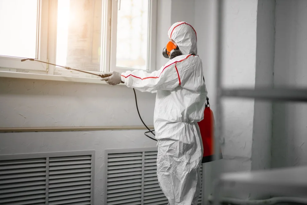 Professional mold remediation services in Duncan, OK